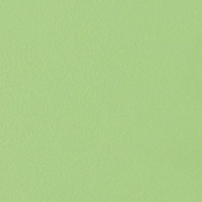 Δάπεδο Βινυλικό Plain 1040-18 2mm 2M Green 200X