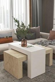 Stewehome Σετ 2 μοντέρνα τραπεζάκια σαλονιού από σαντουλάμ 50x90 cm