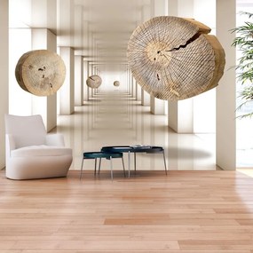 Αυτοκόλλητη φωτοταπετσαρία - Flying Discs of Wood - 245x175