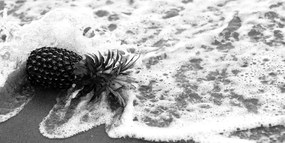 Εικόνα ενός ανανά σε ένα κύμα ωκεανού σε μαύρο & άσπρο - 100x50