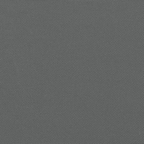 Σκίαστρο Πλαϊνό Συρόμενο Ανθρακί 160 x 1200 εκ. - Ανθρακί