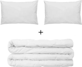 Stewehome Πάπλωμα διπλό με 2 μαξιλάρια 800 gr Λευκό 195x215 cm
