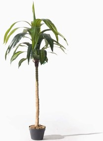 Τεχνητό Δέντρο Δράκαινα 7130-6 170cm Green-Beige Supergreens Polyethylene,Fabric