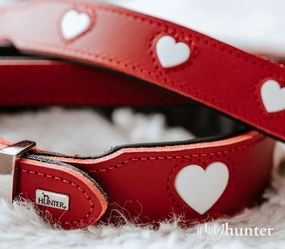 Κολλάρο Σκύλου Hunter Love M 41-49 cm Κόκκινο