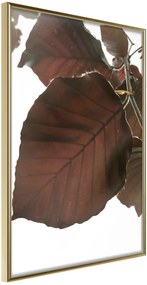 Αφίσα - Burgundy Tilia Leaf - 20x30 - Χρυσό - Χωρίς πασπαρτού