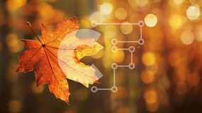 Intra Συλλεκτικό Ξύλινο Παζλ Plywood 4mm - Φθινοπωρινό φύλλο που επιπλέει σε δασικό φόντο Σε Ξύλινο Κουτί - Διαστάσεις: 10x10 cm – 25 κομμάτια