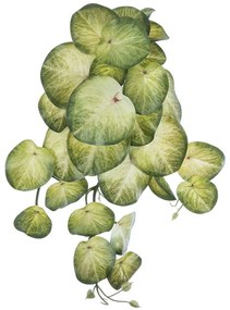 Τεχνητό Κρεμαστό Φυτό Syngonium 20607 45cm Green GloboStar Fabric