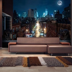 Φωτοταπετσαρία - Sleepy New York 350x245