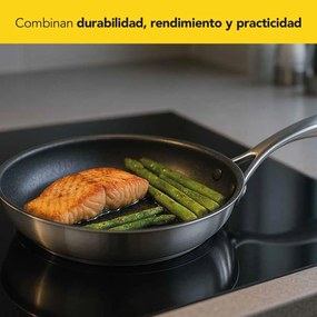 Τηγάνι Castey EA-S28 Γκρι Ανοξείδωτο ατσάλι Ø 28 cm