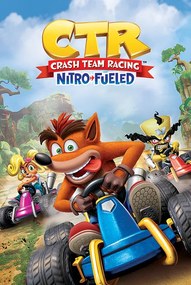 Αφίσα Crash Team Racing - Race