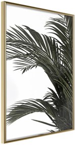 Αφίσα - Jungle Scent - 40x60 - Χρυσό - Χωρίς πασπαρτού