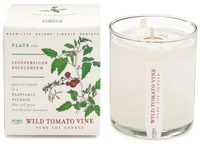 Αρωματικό Κερί Plant The Box Με Σπόρους Wild Tomato Vine 283gr Kobo Soy Wax