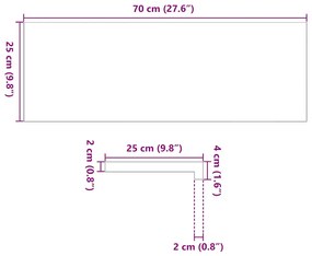 Πατάκια Σκάλας 8 τεμ. Σκούρο Καφέ 70x25x2 cm Ξύλο Δρυός - Καφέ