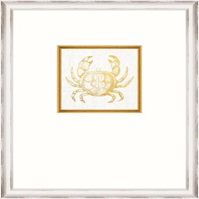 Κάδρο Crab Fa13363 35X45Cm White-Gold Mindthegap Κάθετοι Ξυλο