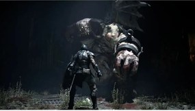 Βιντεοπαιχνίδι PlayStation 5 Sony Demon's Souls