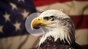 Σετ των 2 Intra Συλλεκτικό Ξύλινο Παζλ Plywood 4mm - Φαλακρός αετός ενάντια στην αμερικανική σημαία Σε Ξύλινο Κουτί - Διαστάσεις: 10x10 cm – 25 κομμάτια