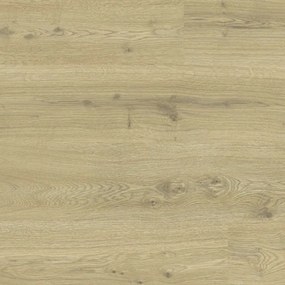 Δάπεδο Laminate Woodstock Pro 833 510034039 8mm Comfort Light Oak 400X...