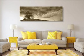 Εικόνα σέπια μοναχικά δέντρα - 150x50