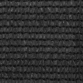 vidaXL Διαχωριστικό Βεράντας Ανθρακί 75 x 500 εκ. από HDPE
