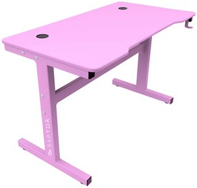 Γραφείο Gaming Raptor Falcon-Roz