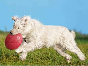 Φρίσμπι Trixie Φυσικό καουτσούκ Ø 24 cm