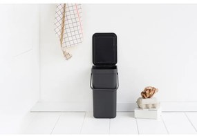 Κάδος διαχωρισμού απορριμμάτων Brabantia Sort&Go 647670, 12 l, Χειρολαβή, Επιτοίχιος, Σκούρο γκρι