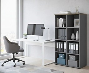 Βιβλιοθήκη Organizer II-Mauro