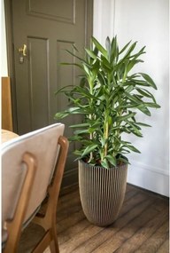 Γλάστρα Capi Europe Χρυσό Πλαστική ύλη Στρόγγυλο Ø 27 cm