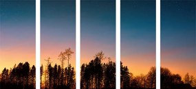 Δάσος με εικόνα 5 μερών καλυμμένο στο σκοτάδι - 100x50