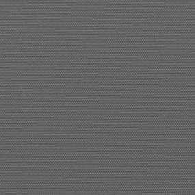 Σκίαστρο Πλαϊνό Συρόμενο Ανθρακί 200 x 600 εκ. - Ανθρακί