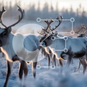 Intra Συλλεκτικό Ξύλινο Παζλ Plywood 4mm - Όμορφη εικόνα των ταράνδων που βόσκουν στο χιόνι Σε Ξύλινο Κουτί - Διαστάσεις: 10x10 cm – 25 κομμάτια