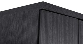Παπουτσοθήκη DAYANNA Ξύλινη Δίφυλλη με 6 Ράφια Zebrano 60x43x180.5 εκ. 60x43x180.5 εκ.