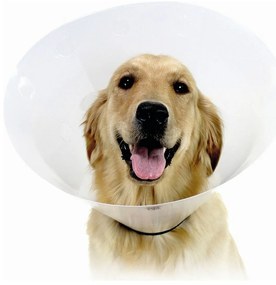 Ελισαβετιανό Κολάρο για Σκύλους KVP Check Διαφανές (38-50 cm)