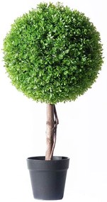 Τεχνητό Φυτό Πυξάρι Μπονσάι 3680-6 60cm Green Supergreens Πολυαιθυλένιο