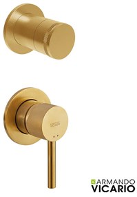 Armando Vicario Industrial Gold Brushed Μίκτης εντοιχισμού + εκτροπέας περιστροφικός 2 εξόδων
