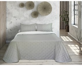 Πάπλωμα Tejidos Reina Triana Γκρι 250 x 270 cm