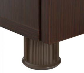 ΝΤΟΥΛΑΠΙ ΓΡΑΦΕΙΟΥ ΕΠΑΓΓΕΛΜΑΤΙΚΟ WENGE   60x46x120