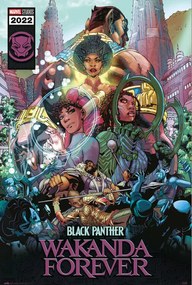 Αφίσα Black Panther: Wakanda Forever, (61 x 91.5 cm)