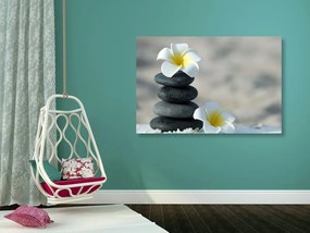 Εικόνα από αρμονικές πέτρες και λουλούδι Plumeria - 60x40