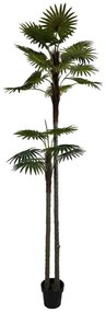 Τεχνητό Δέντρο Φοίνικας Radix Με Διπλό Κορμό 5511-6 250cm Green Supergreens Πολυαιθυλένιο,Ύφασμα