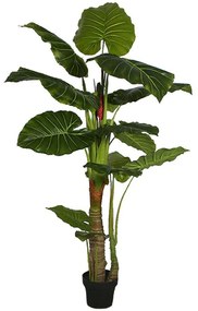 Τεχνητό Δέντρο Αλοκάσια Elephant Ears 9180-6 80x170cm Green Supergreens Polyethylene