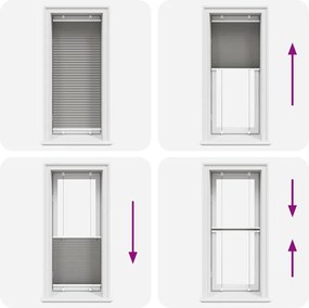 vidaXL Πλισέ περσίδα Ανθρακί 55x100 cm Πλάτος υφάσματος 54,4 cm