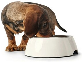 Ταΐστρα σκύλων Hunter μελαμίνη Ανοξείδωτο ατσάλι Λευκό 350 ml (18,5 x 18,5 x 9,5 cm)