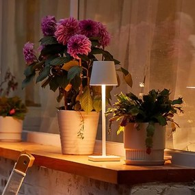 Επαναφορτιζόμενη επιτραπέζια μεταλλική λάμπα LED λευκή 10537 OEM