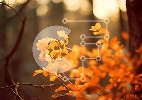 Intra Συλλεκτικό Ξύλινο Παζλ Plywood 4mm - Φθινοπωρινό δέντρο στο δάσος με πορτοκαλί φύλλα Σε Ξύλινο Κουτί - Διαστάσεις: 10x10 cm – 25 κομμάτια