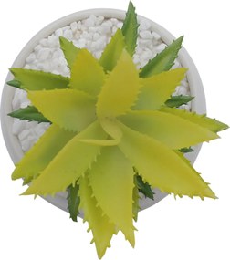 Τεχνητό Φυτό σε Μοντέρνο Κεραμικό Γλαστράκι 12x11x19cm