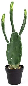 Τεχνητό Φυτό Φραγκοσυκιά Skinners 4780-6 64cm Green Supergreens Polyethylene