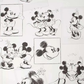 Ταπετσαρί τοίχου Mickey &amp; Minnie 102712