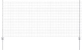 Τείχος και Πόστ Ασημί 1 x 25 m Ατσάλι