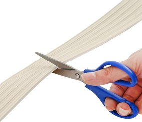vidaXL Αυτοκόλλητη σφραγίδα παραθύρου Λευκό 9 x 4 mm 50 μ EPDM αφρός